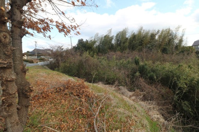 【外観】 | 西岐波字潮田1593-1（雑種地／雑木林）203坪 | 現地（2025年3月撮影）