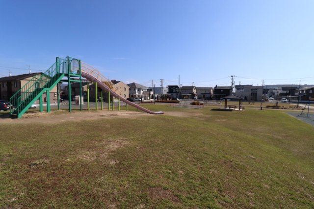 カレンデュラの周辺