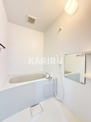 アクロス大日アパートメントの浴室