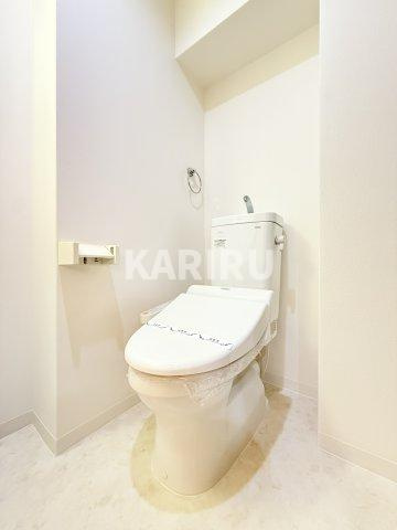 アクロス大日アパートメントのトイレ