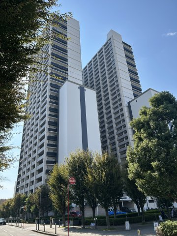 ザ・タワー＆パークス田園都市溝の口の外観|外観です