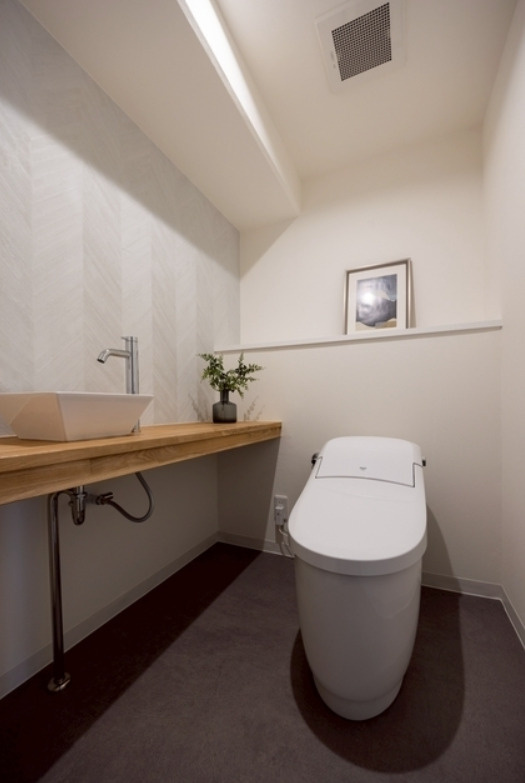 ハイネス東灘のトイレ|手洗いカウンター付き