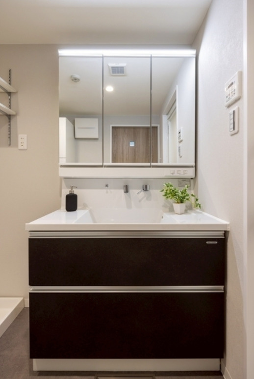 ハイネス東灘の洗面所