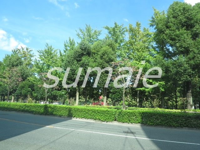 エーデルワイスのその他|浮間公園