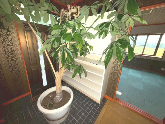 米津町落合 貸店舗・事務所の内装