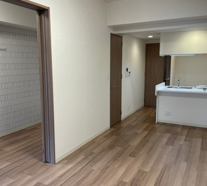 プレサンス心斎橋ニストの居間・リビング