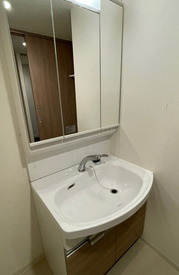 プレサンス心斎橋ニストの独立洗面台