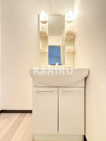 ライフハイツ中宮の洗面所