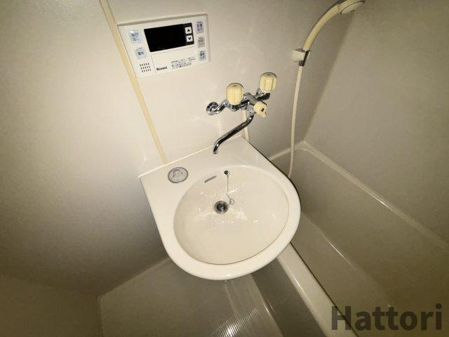 タムラクリーンハイツの洗面所