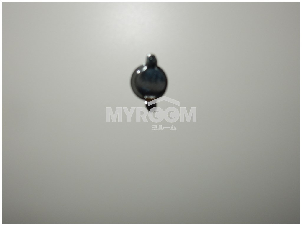 エンジェルハウスの玄関|ドア（同一仕様写真）