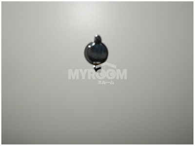 【玄関】 | エンジェルハウス | ドア（同一仕様写真）