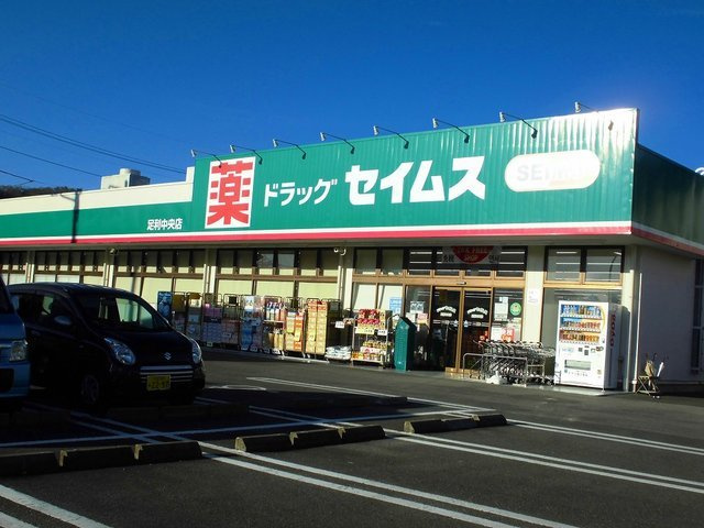 カーサ・プラシードⅡの周辺|セイムスまで1500m