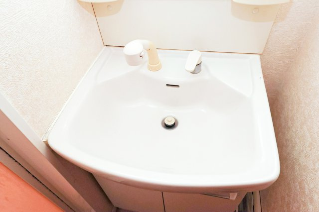 サヴォイ博多ブールバール　5階の独立洗面台|別号室のものになります。現状優先。