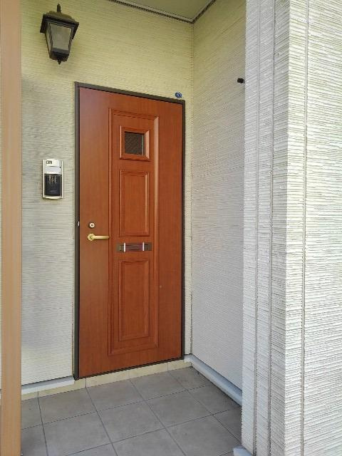 ユーチャリス　Ⅱのその他|その他