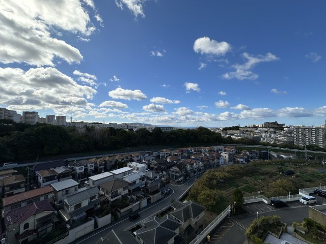 パレス朝霧の展望