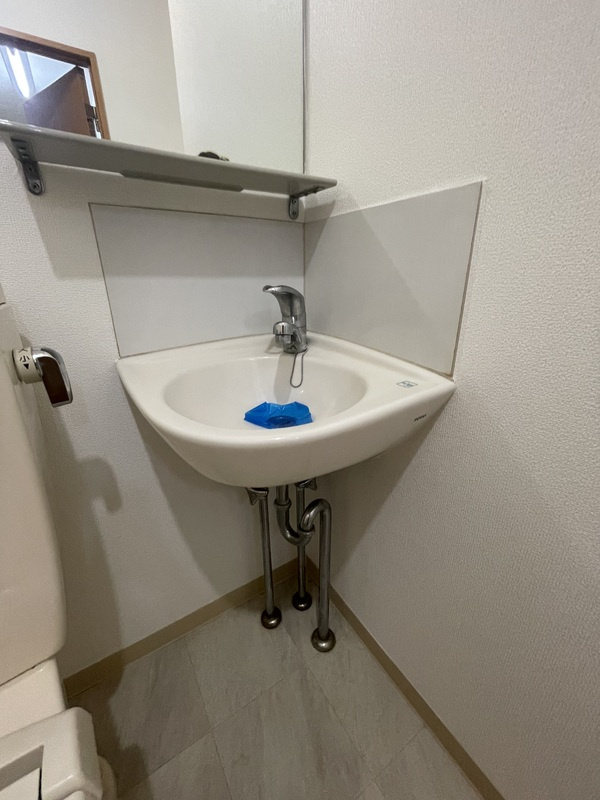 アネックス栄町の洗面所