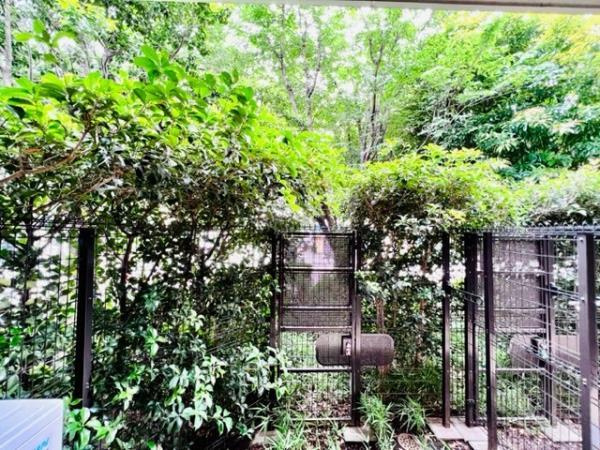 Ｂｒｉｌｌｉａ　ｉｓｔ　三軒茶屋　アイビーテラスのその他