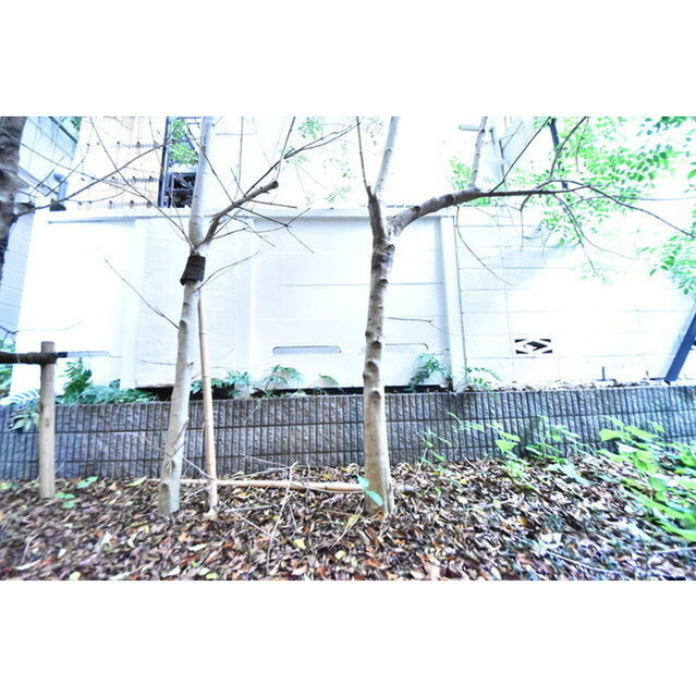 La Perla Ogikuboの内装