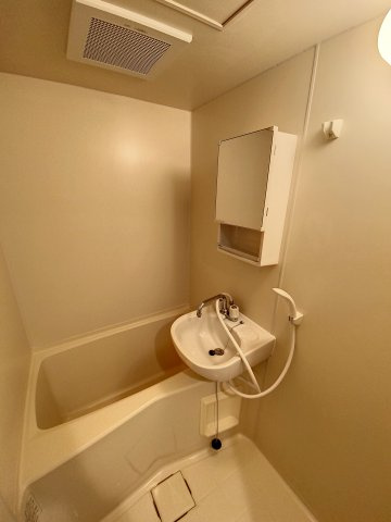 五反田DSハイムの浴室