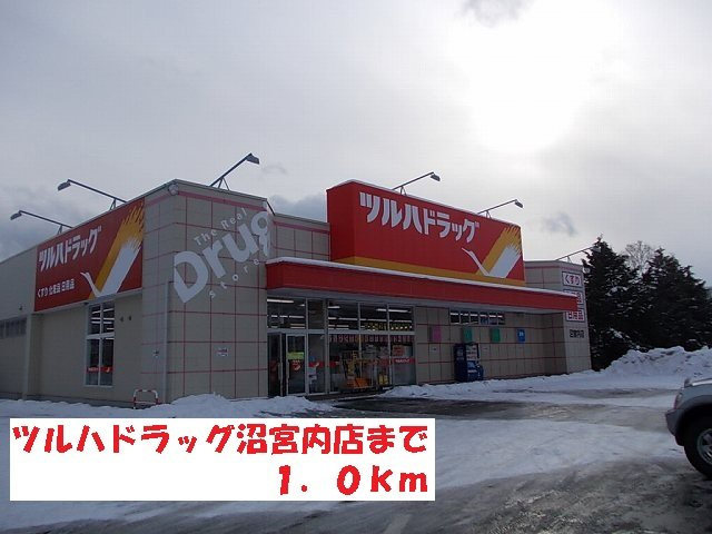 アルモニーの周辺|ツルハドラッグ沼宮内店まで1000m