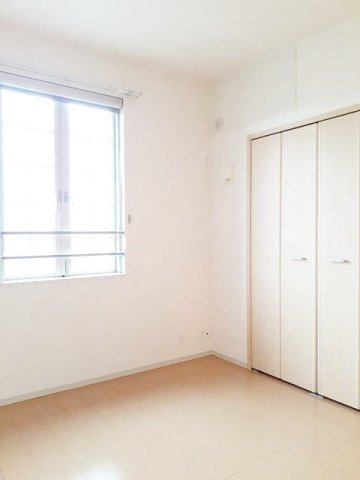 プラシードＢのその他