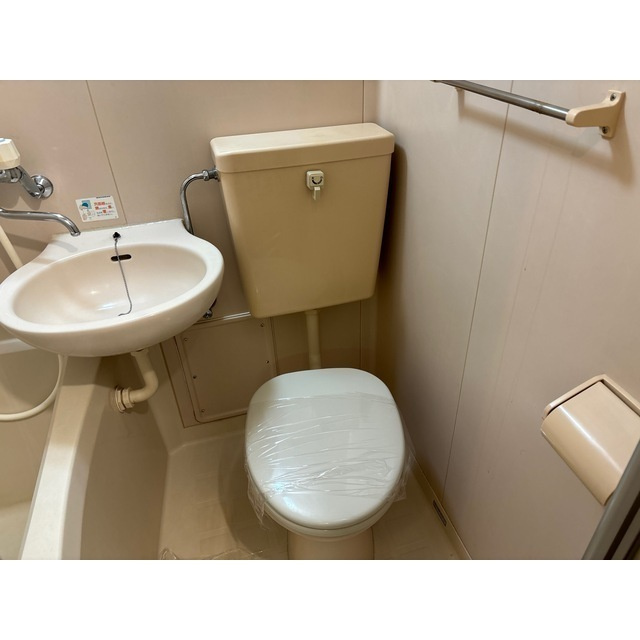 casa de rosa（旧レジデンス田中）のトイレ