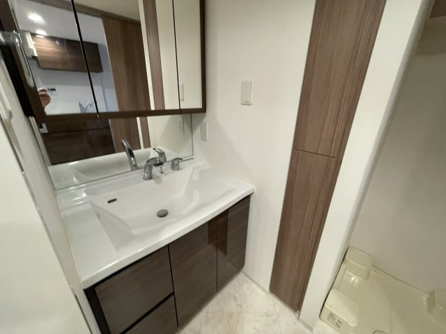 プレシス東京三ノ輪の洗面所