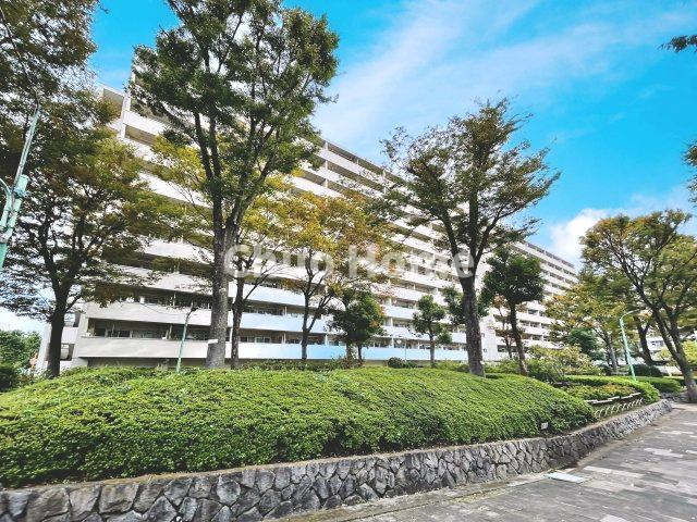 亀戸二丁目団地第9号棟の外観|外観
