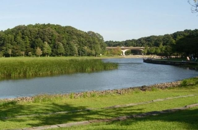 ＨａｌｅＬｉｎｏ八ヶ崎の周辺|２１世紀の森と広場まで850m