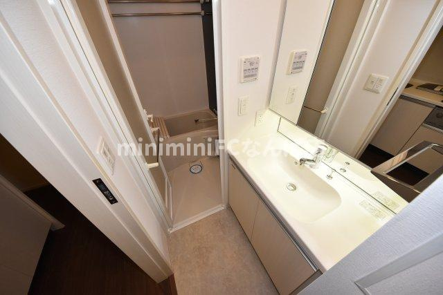 コンフォリア阿波座の洗面所