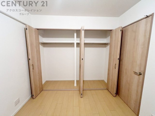 衣類やアクセサリー、小物類の収納が便利で整理整頓がしやすく、部屋の美観を保ちつつ、スペースを最大限に活用できます。衣服のしわやダメージを防ぎ、長持ちさせることができます。