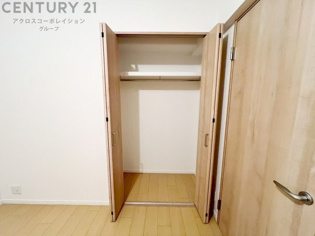 衣類やアクセサリー、小物類の収納が便利で整理整頓がしやすく、部屋の美観を保ちつつ、スペースを最大限に活用できます。衣服のしわやダメージを防ぎ、長持ちさせることができます。