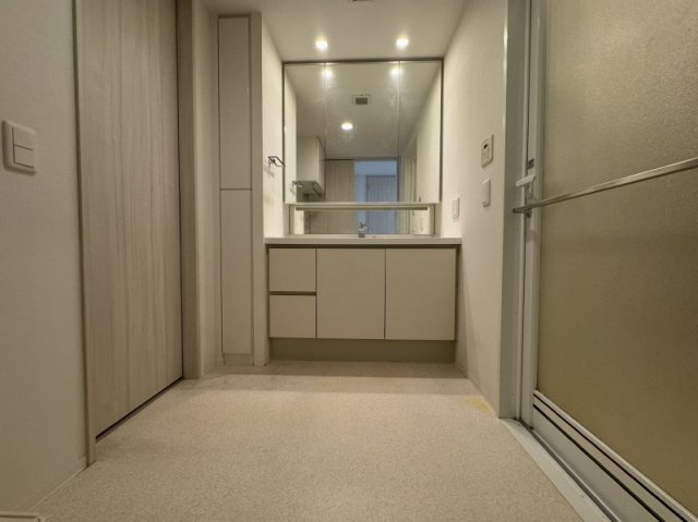 ドレッセ二子新地の洗面所