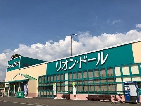 ブルースカイⅣの周辺|リオン・ドール結城店まで1200m