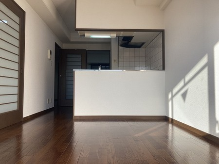 パレーシャル難波の居間・リビング