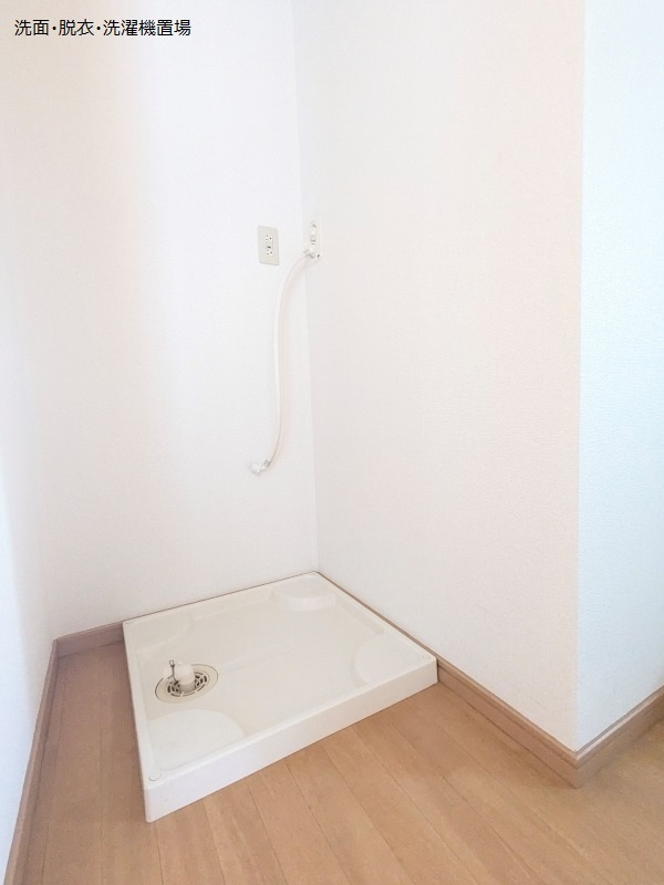 カトルカーサのその他