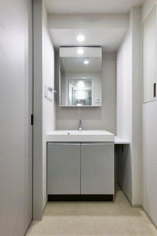 プラウドフラット墨田曳舟ディアージュの洗面所