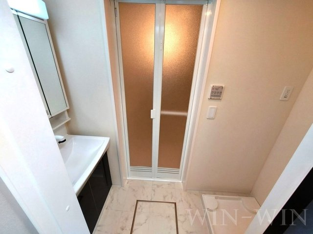 エスベランサ Ⅴの洗面所