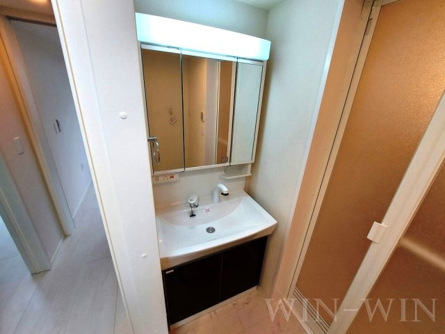 エスベランサ Ⅴの洗面所