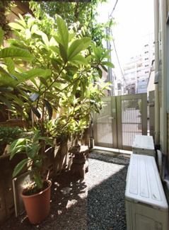 【展望】 | アンソレイエ神楽坂