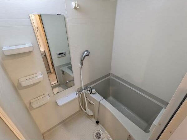 アドバンス大阪城エストレージャの浴室