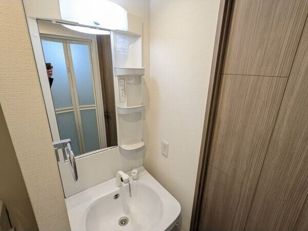 アドバンス大阪城エストレージャの洗面所