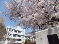 府中市立府中第一中学校まで378m