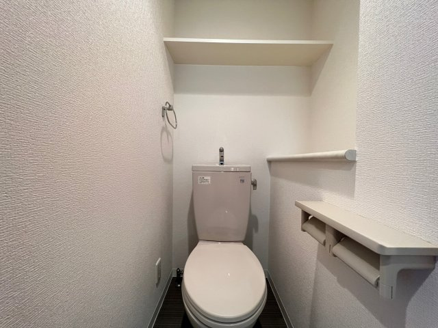 プレサンス大手前パークサイドⅡのトイレ