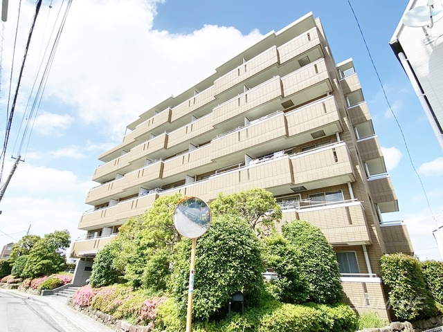 グレイスコート