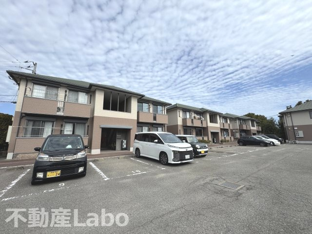 バリージュ萌芽