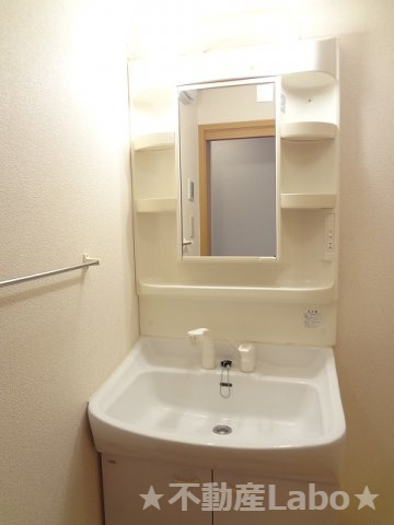 ルミナス藍住Aの洗面所