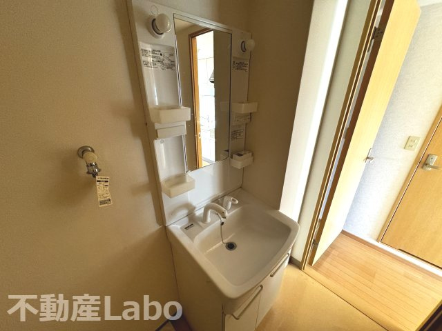 板野郡北島町鯛浜字大西の賃貸マンションの洗面所