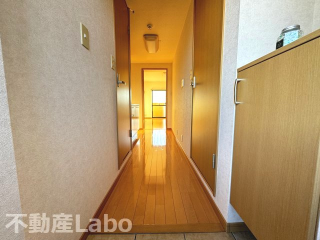 板野郡北島町鯛浜字大西の賃貸マンションの玄関