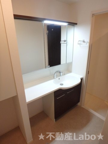 アムール21Fの洗面所